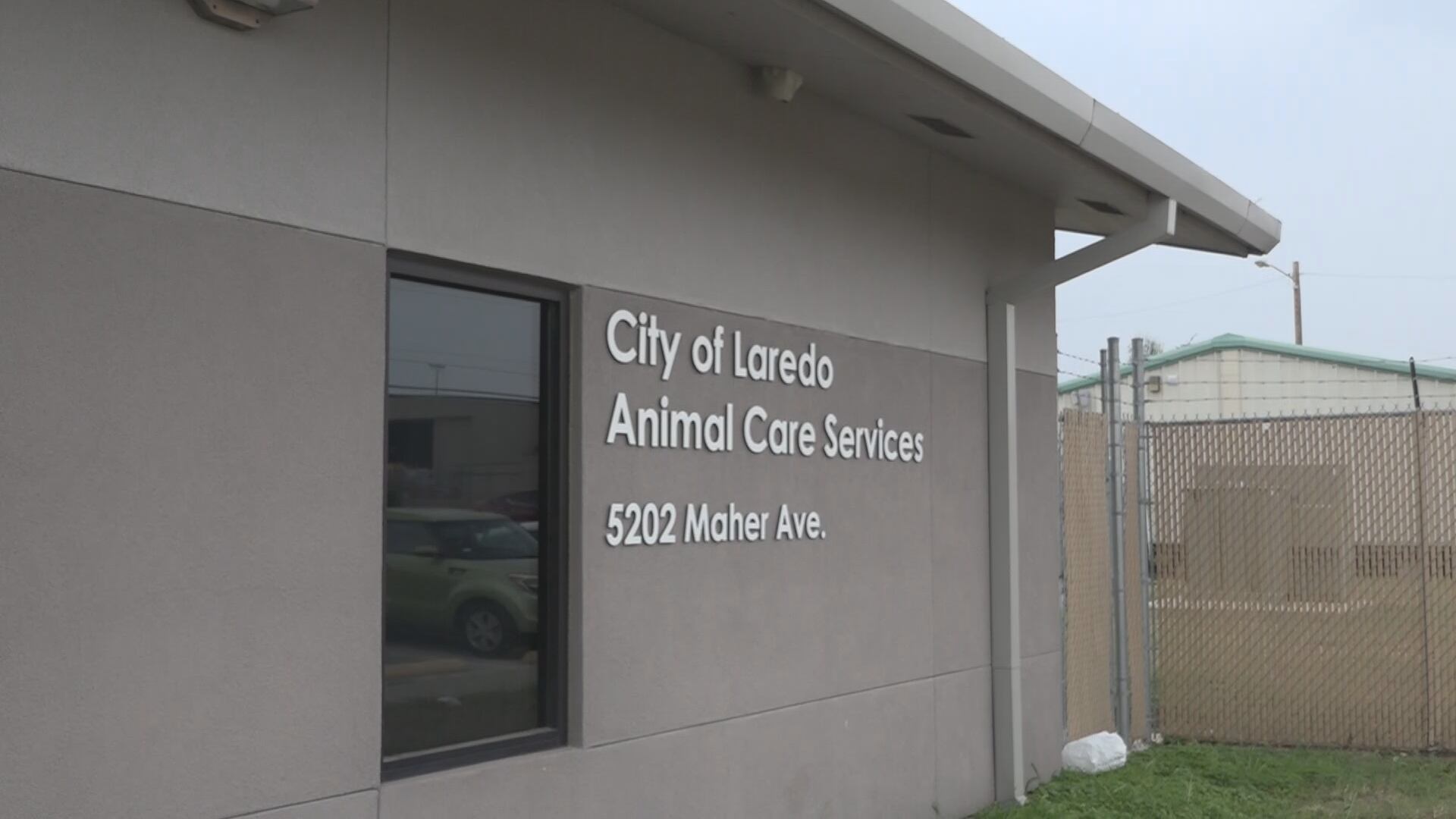 Laredo Police Review Officer’s Use of Force After Dog Is Shot