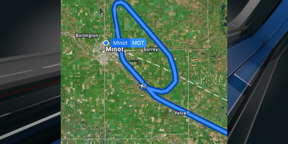 Commercial pilot makes ‘aggressive maneuver’ to avoid mid-air collision ...