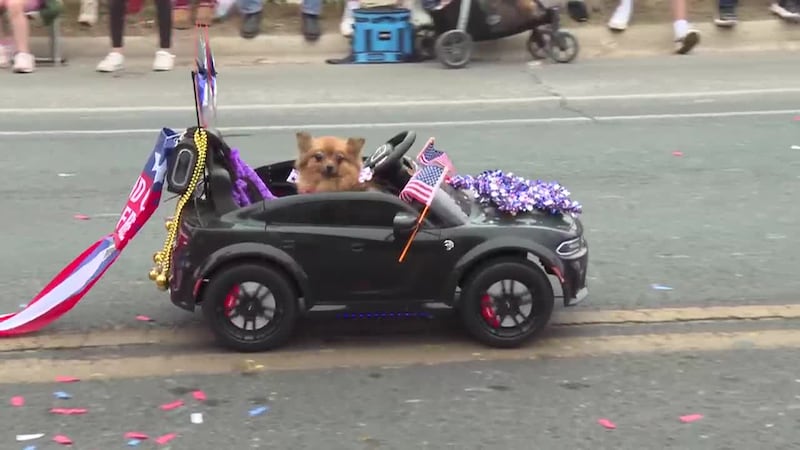 Budweiser Washington’s Birthday Parade marches through downtown Laredo