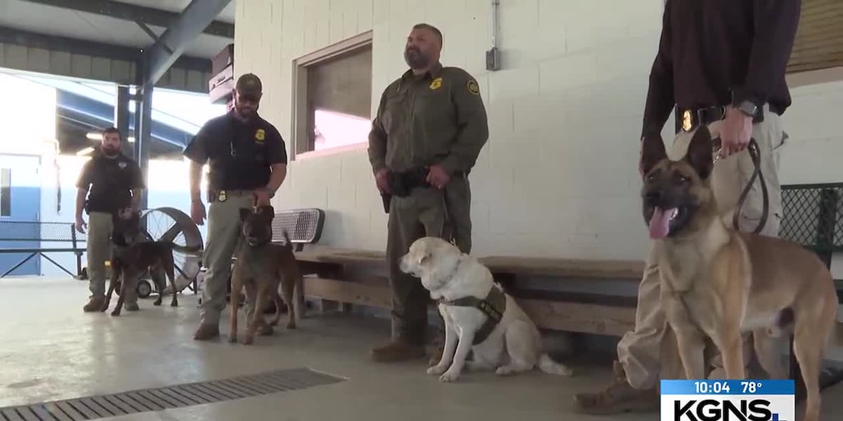U.S. Customs and Border Protection showcases K-9 unit program