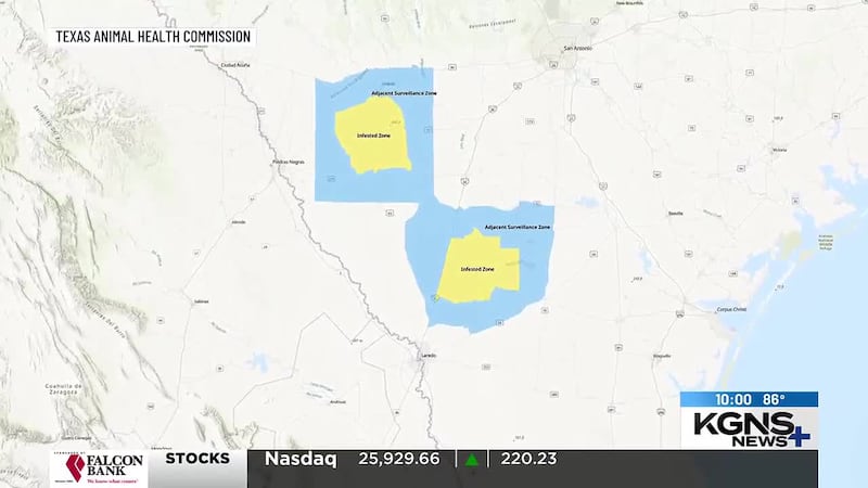 Quarantine established in parts of Webb Co. due to screwworm infestation