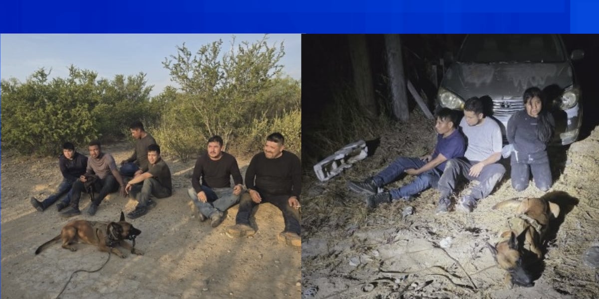 Canine units help DPS track down undocumented immigrants