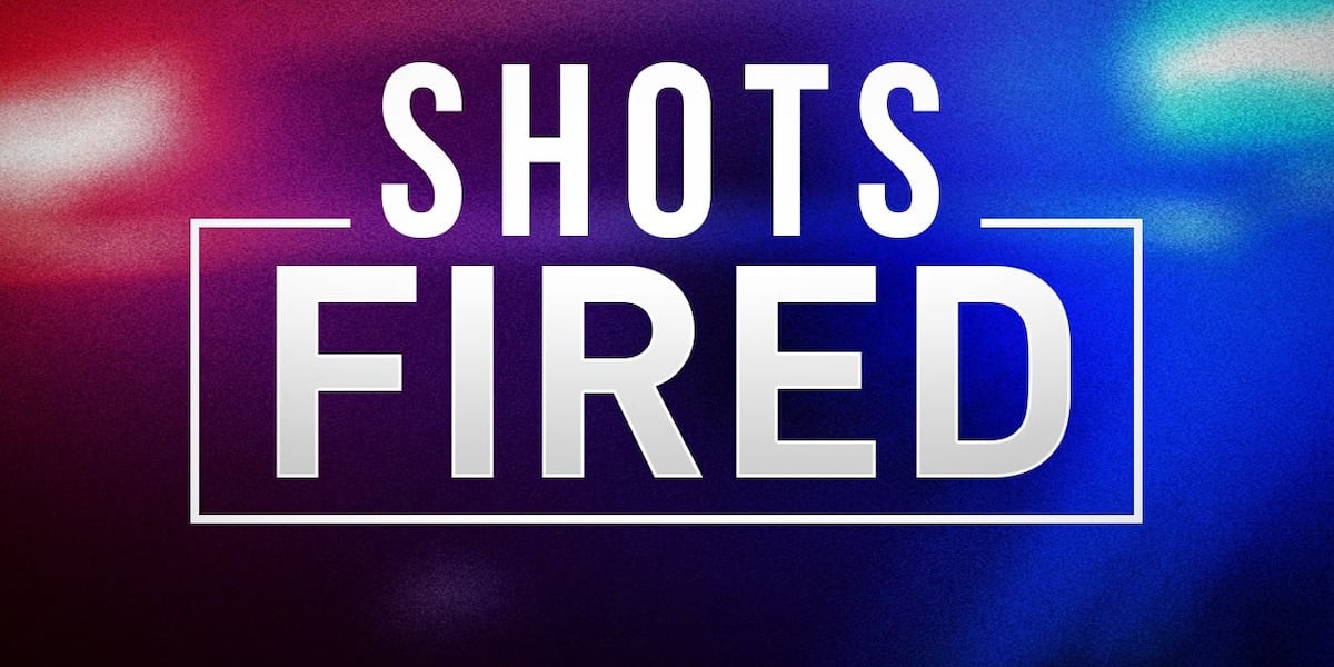 Shots fired in north Laredo near Nye Elementary; one man detained