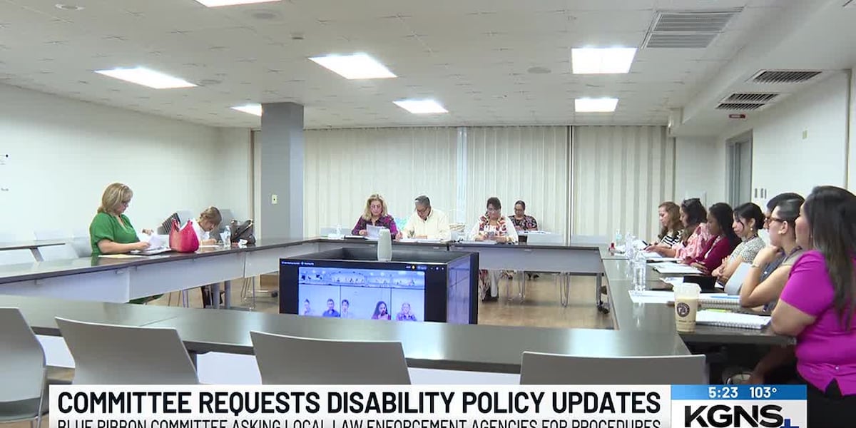 Blue Ribbon Committee requests disability policy updates from local law enforcement