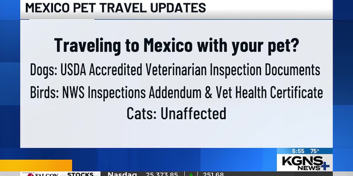 Mexico Updates Pet Entry Requirements For Dogs And Birds mexico-updates-pet-entry-requirements-for-dogs-and-birds