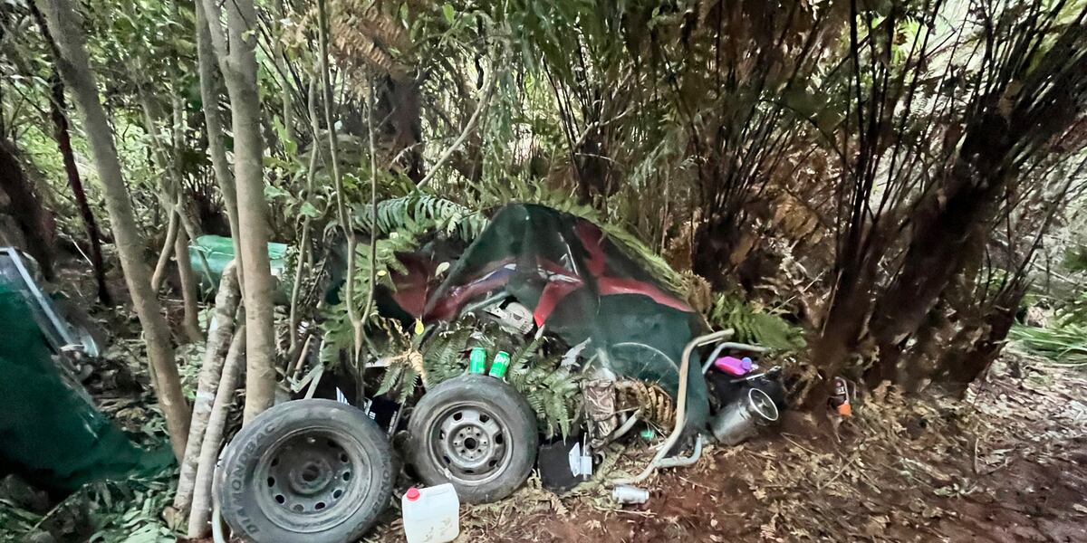 Police investigate how a man hid his 3 children in a New Zealand forest for years without discovery