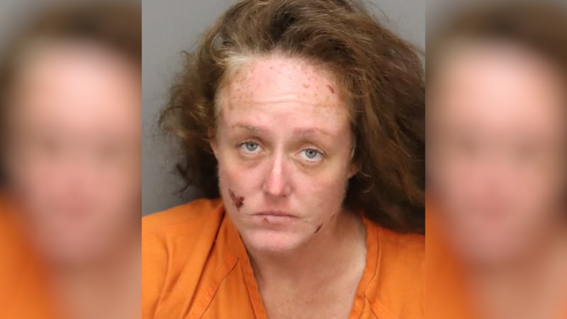 Police said Eleanor Crawford, 41, approached the victim as she pumped gas into her Volvo SUV...